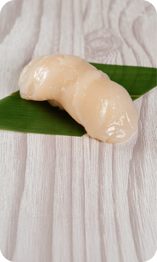 Giant Hokkaido Scallop*